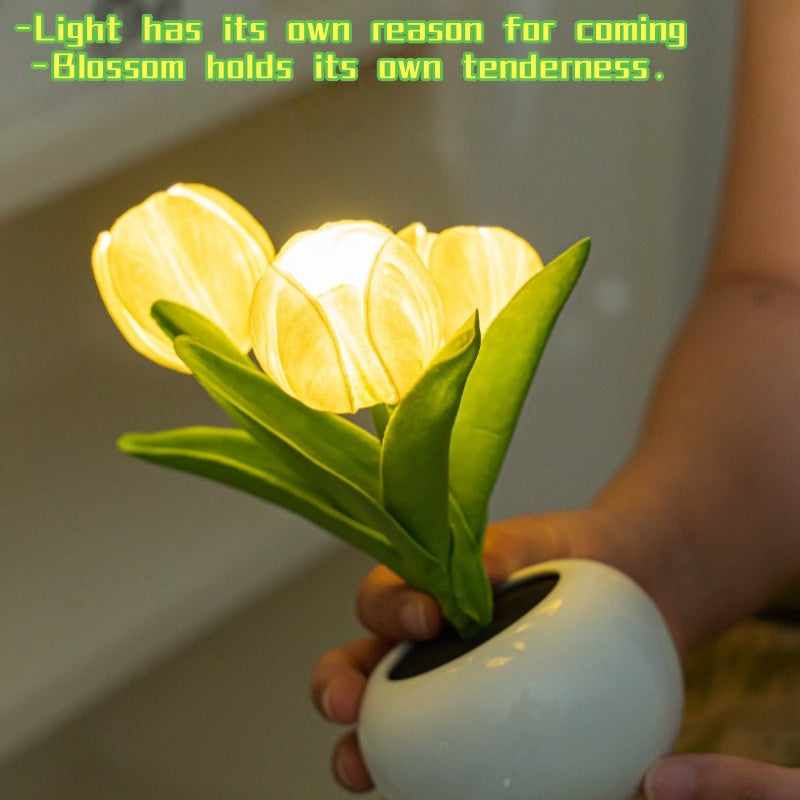 Tulip LED Night Lamp 🌷✨