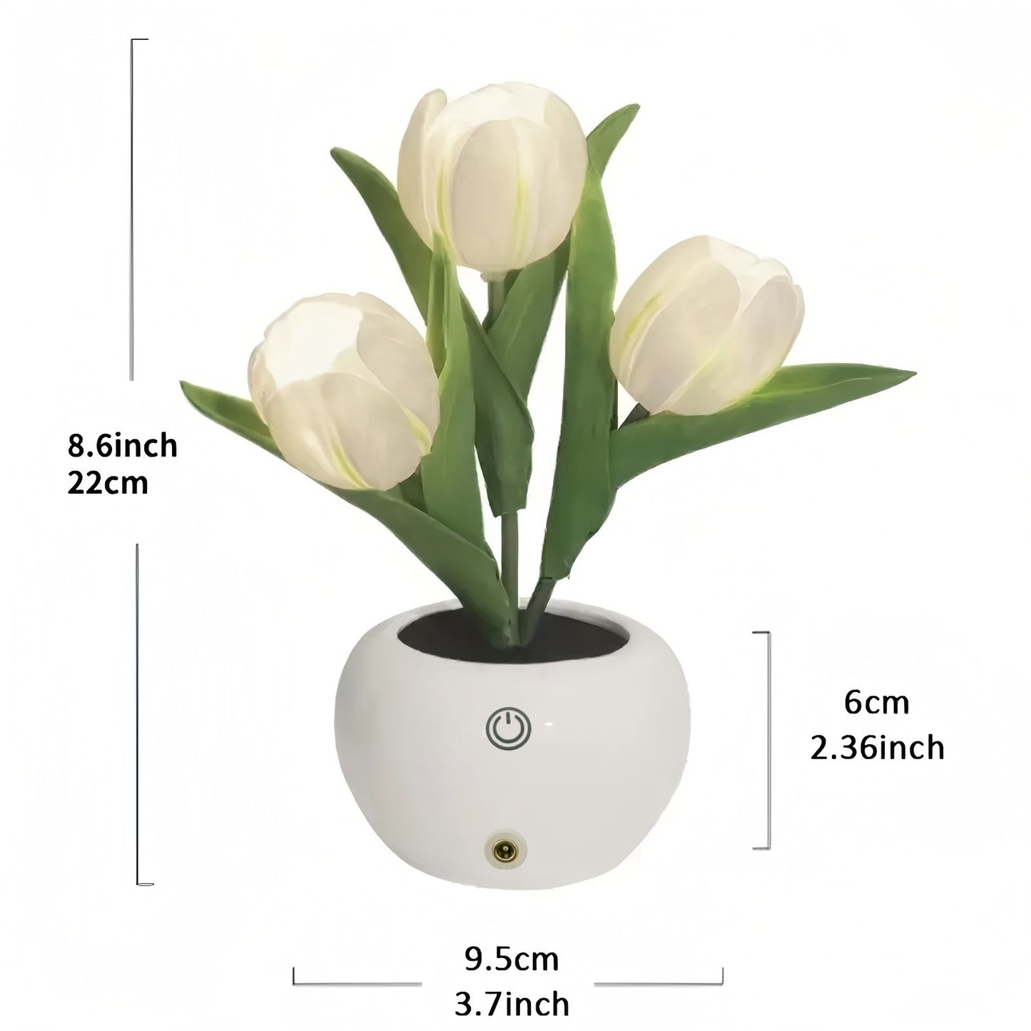 Tulip LED Night Lamp 🌷✨